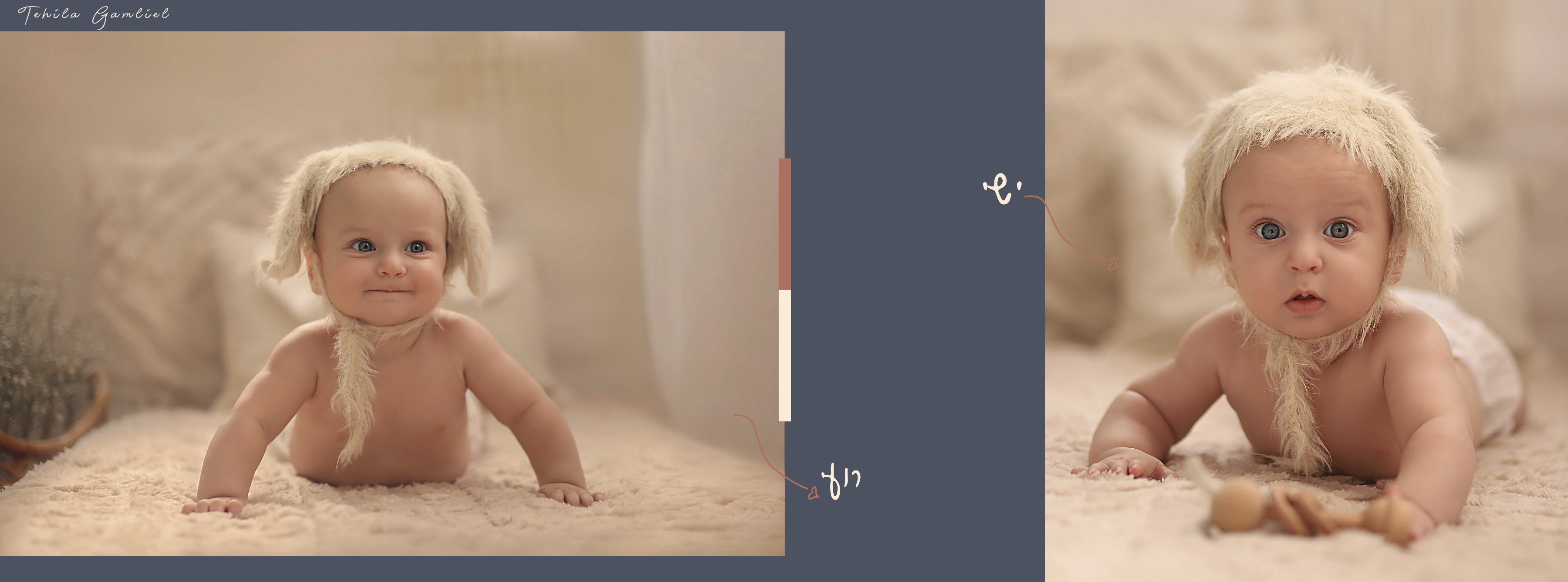 צילום מסך 2024-11-24 ב-14.42.07.png