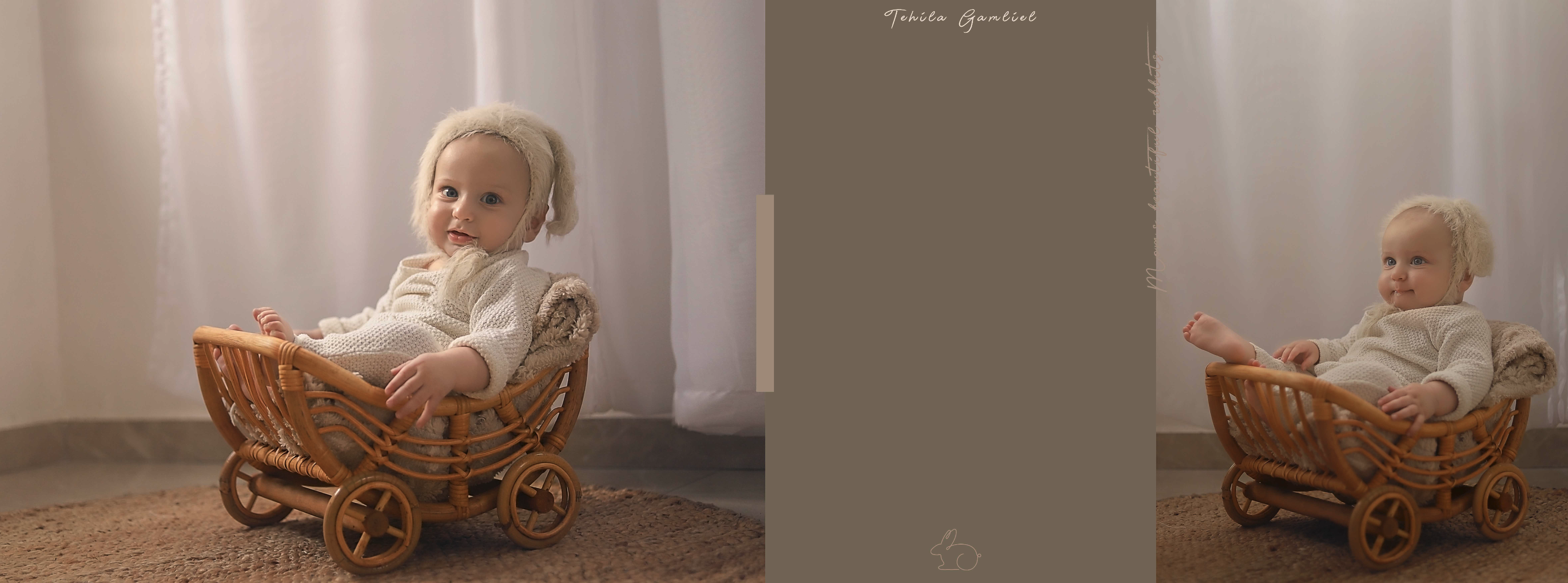 צילום מסך 2024-11-24 ב-14.42.14.png