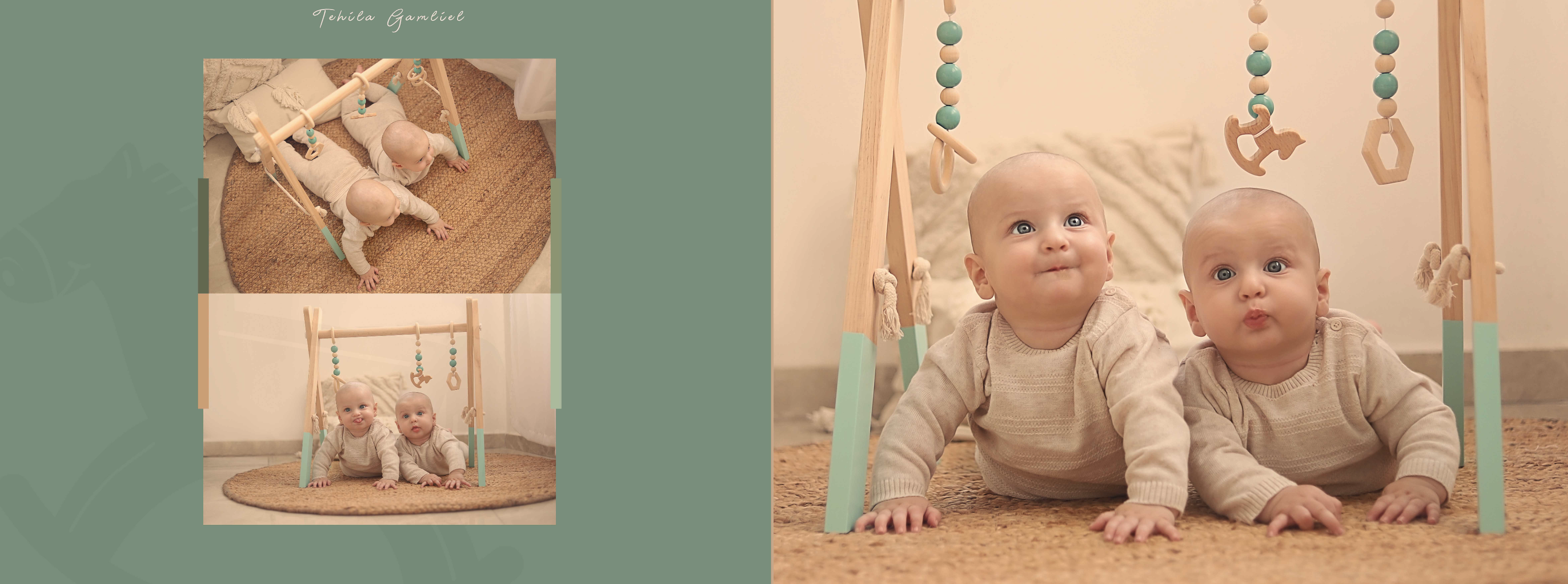 צילום מסך 2024-11-24 ב-14.42.30.png