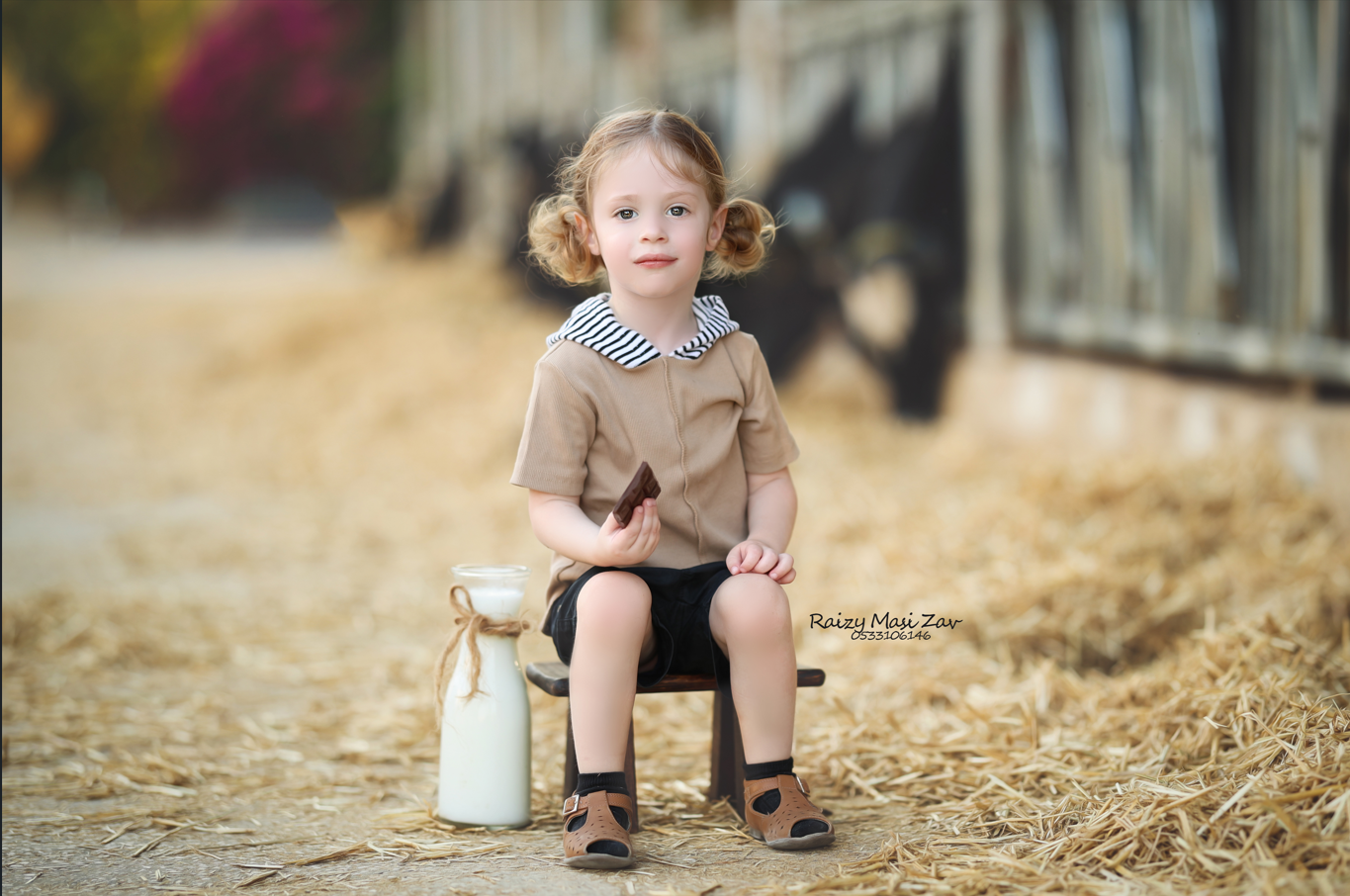 צילום מסך 2024-11-24 104308.png