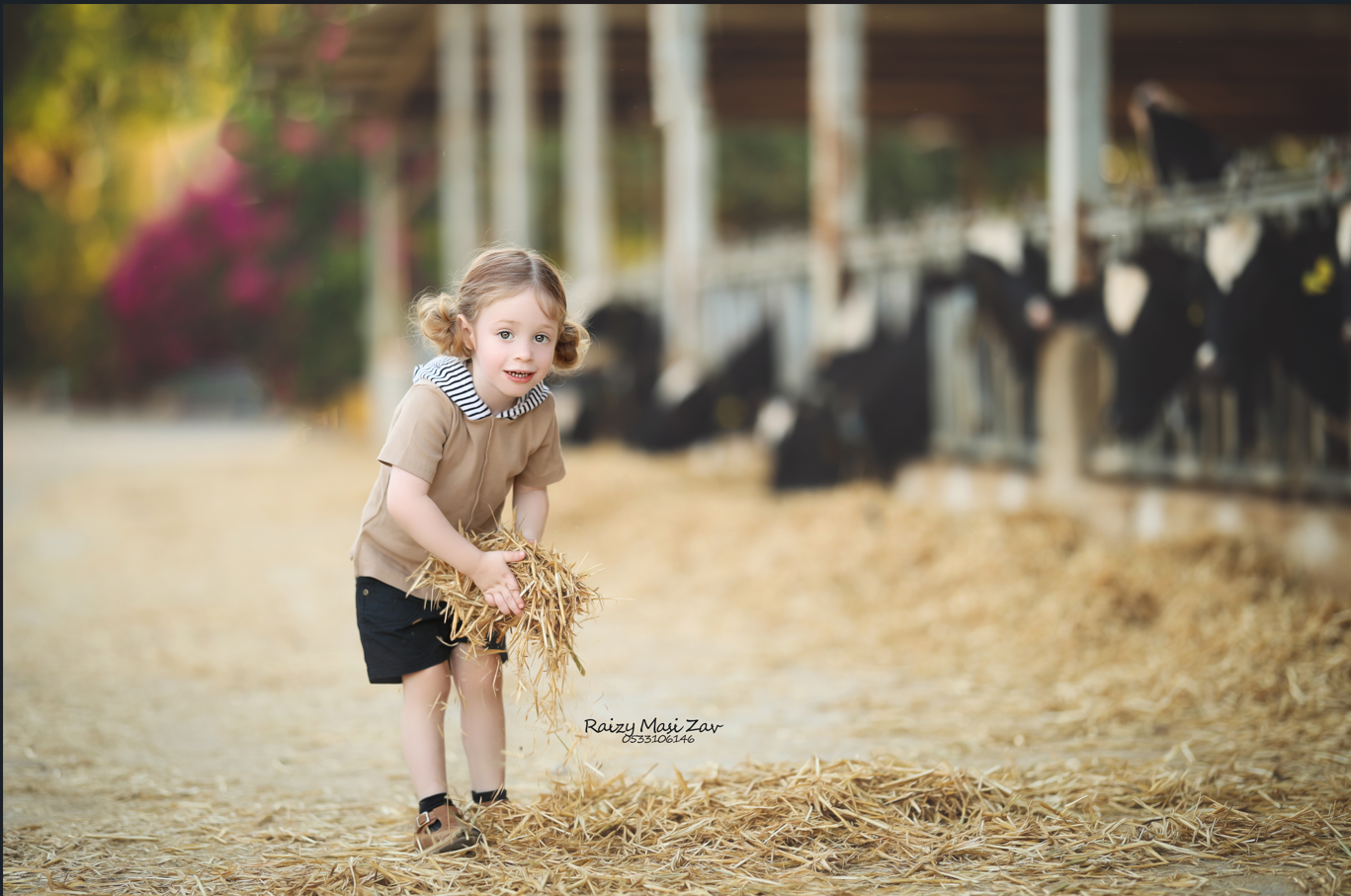 צילום מסך 2024-11-24 104324.png