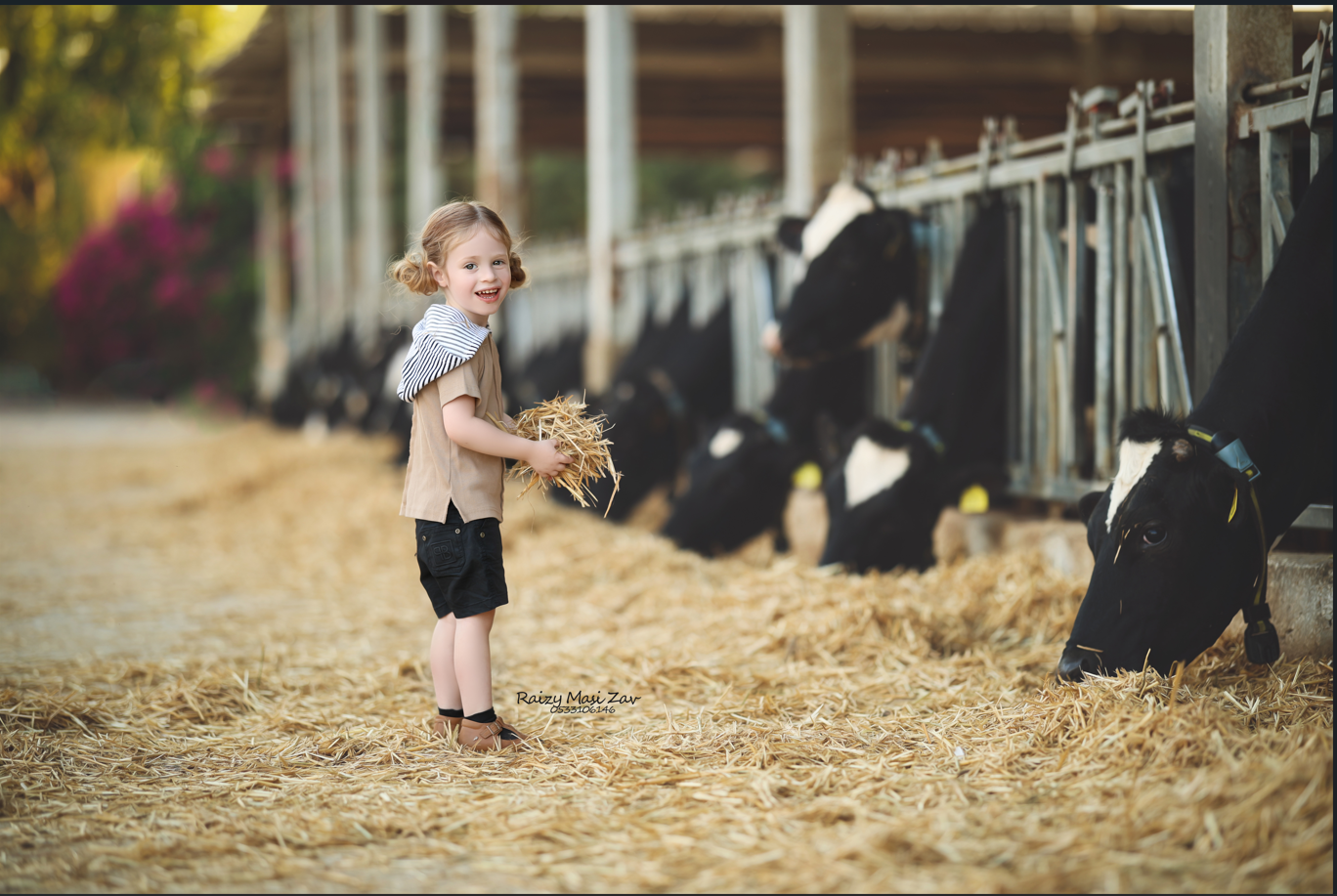 צילום מסך 2024-11-24 104340.png