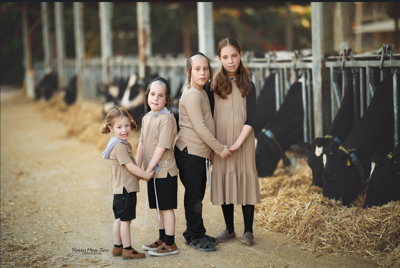 צילום מסך 2024-11-24 104402.png