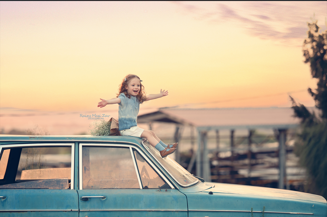 צילום מסך 2024-11-24 104454.png