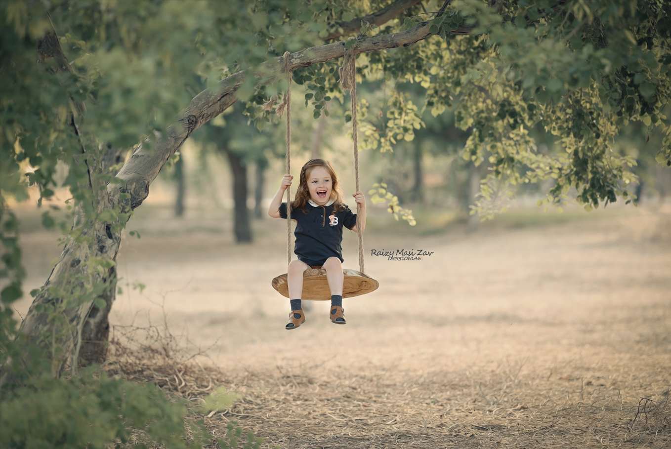 צילום מסך 2024-11-24 104609.png