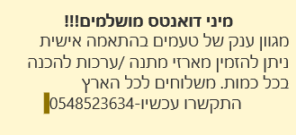 צילום מסך 2024-11-27 233951.png