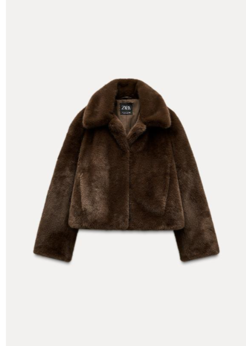 צילום מסך 2024-12-02 155149.png