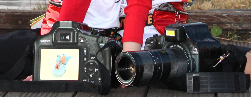 צילום מסך 2024-12-04 172229.png