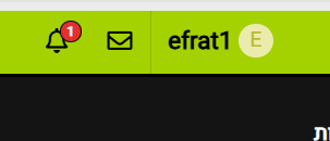 צילום מסך 2024-12-05 145923.png