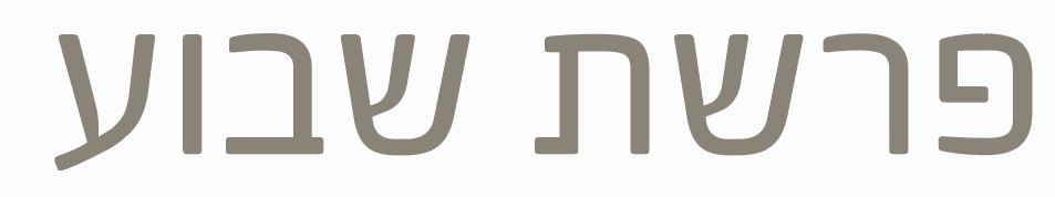 צילום מסך 2024-12-12 215611.jpg