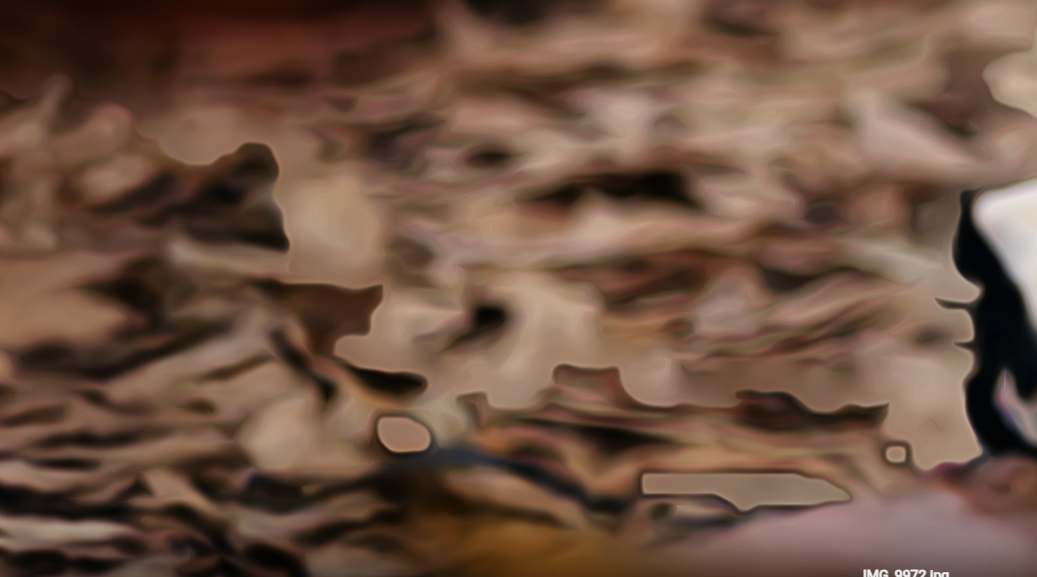 צילום מסך 2024-12-14 232621.png