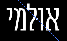 צילום מסך 2024-12-17 143123.png