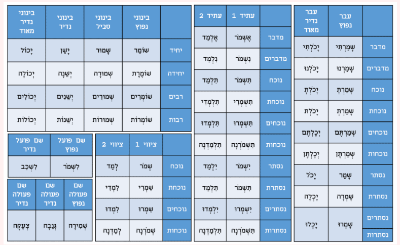 צילום מסך 2024-12-18 193222.png