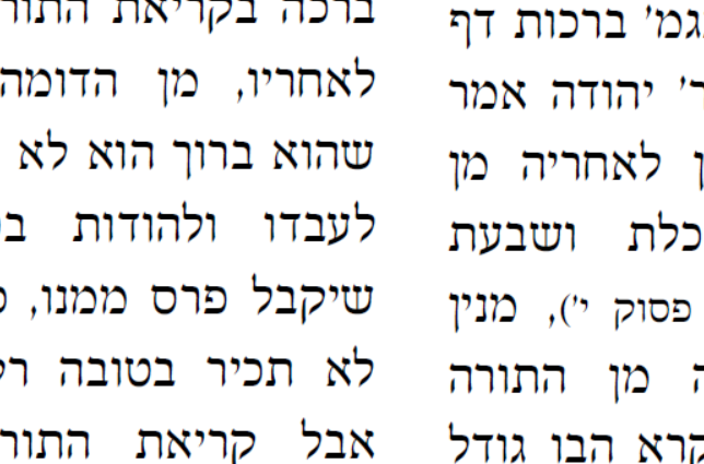 צילום מסך 2024-12-24 150428.png