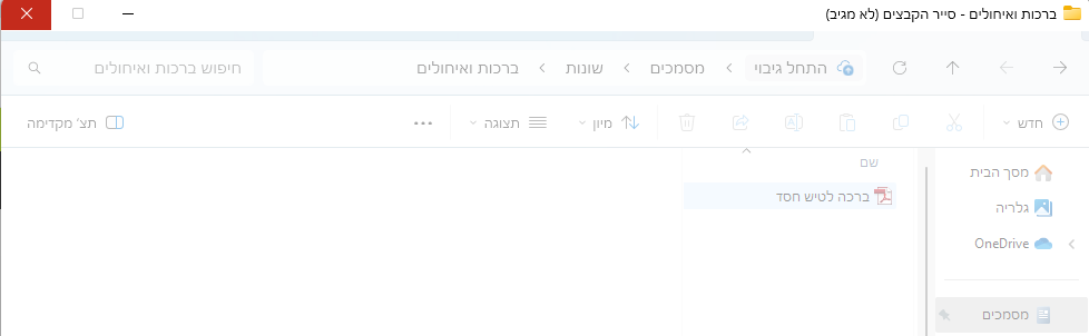 צילום מסך 2025-01-06 191250.png