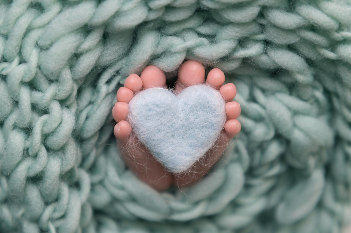 צילום מסך 2025-01-12 235714.png