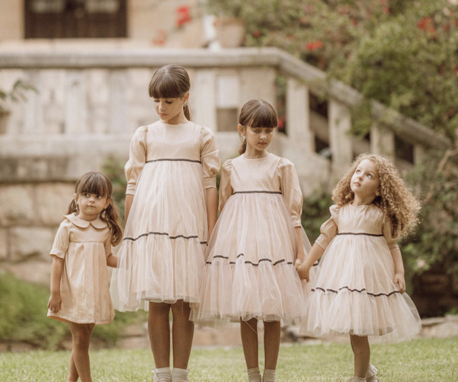 צילום מסך 2025-01-20 ב-8.53.33.png