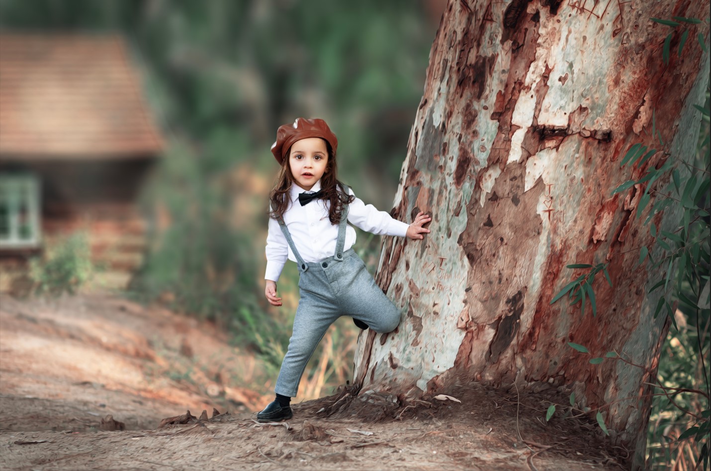 צילום מסך 2025-01-26 001731.jpg