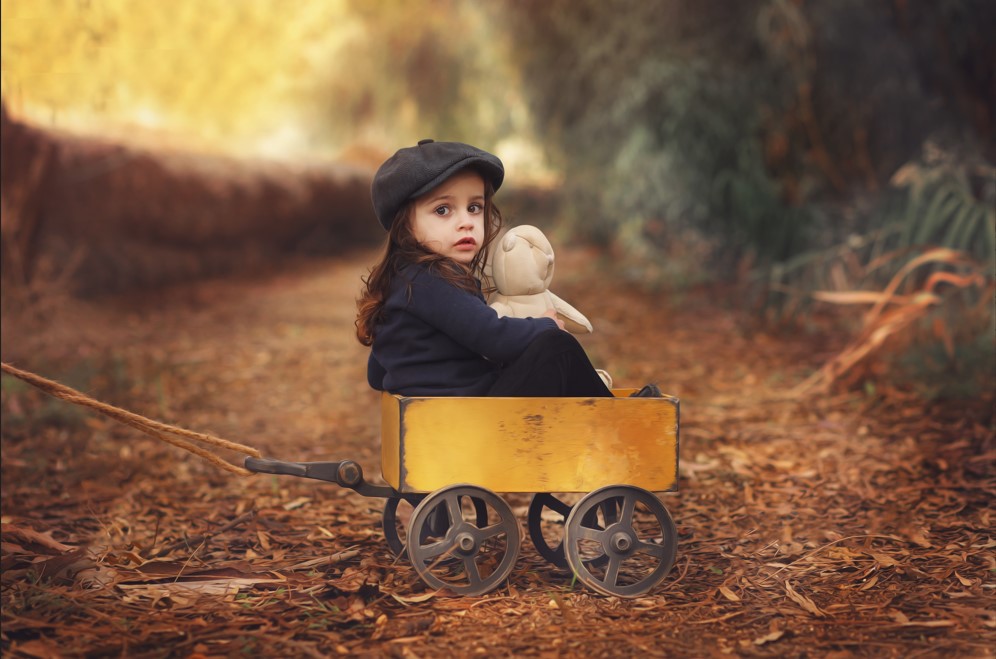 צילום מסך 2025-01-26 001931.jpg