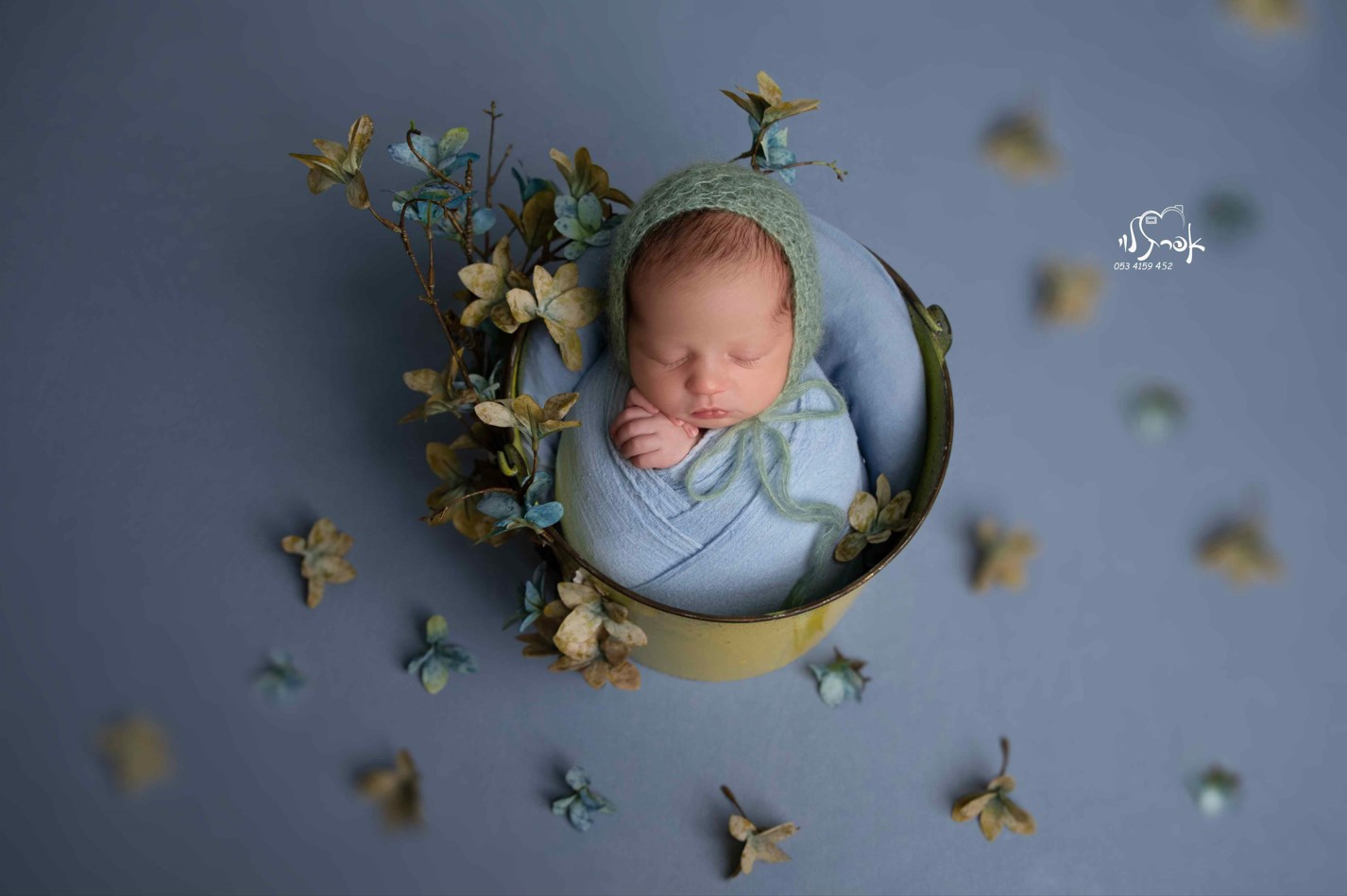 צילום מסך 2025-02-10 235957.jpg