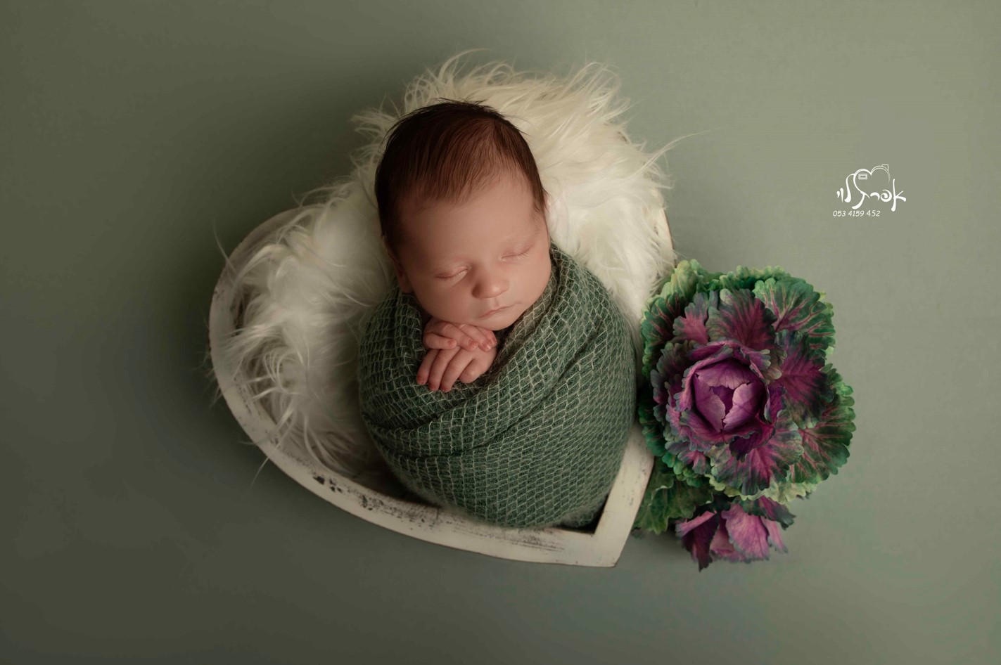 צילום מסך 2025-02-11 000025.jpg