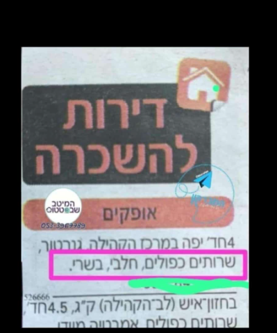 צילום מסך 2025-02-16 124656.png