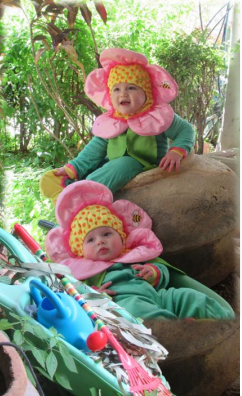 צילום מסך 2025-02-17 205527.png