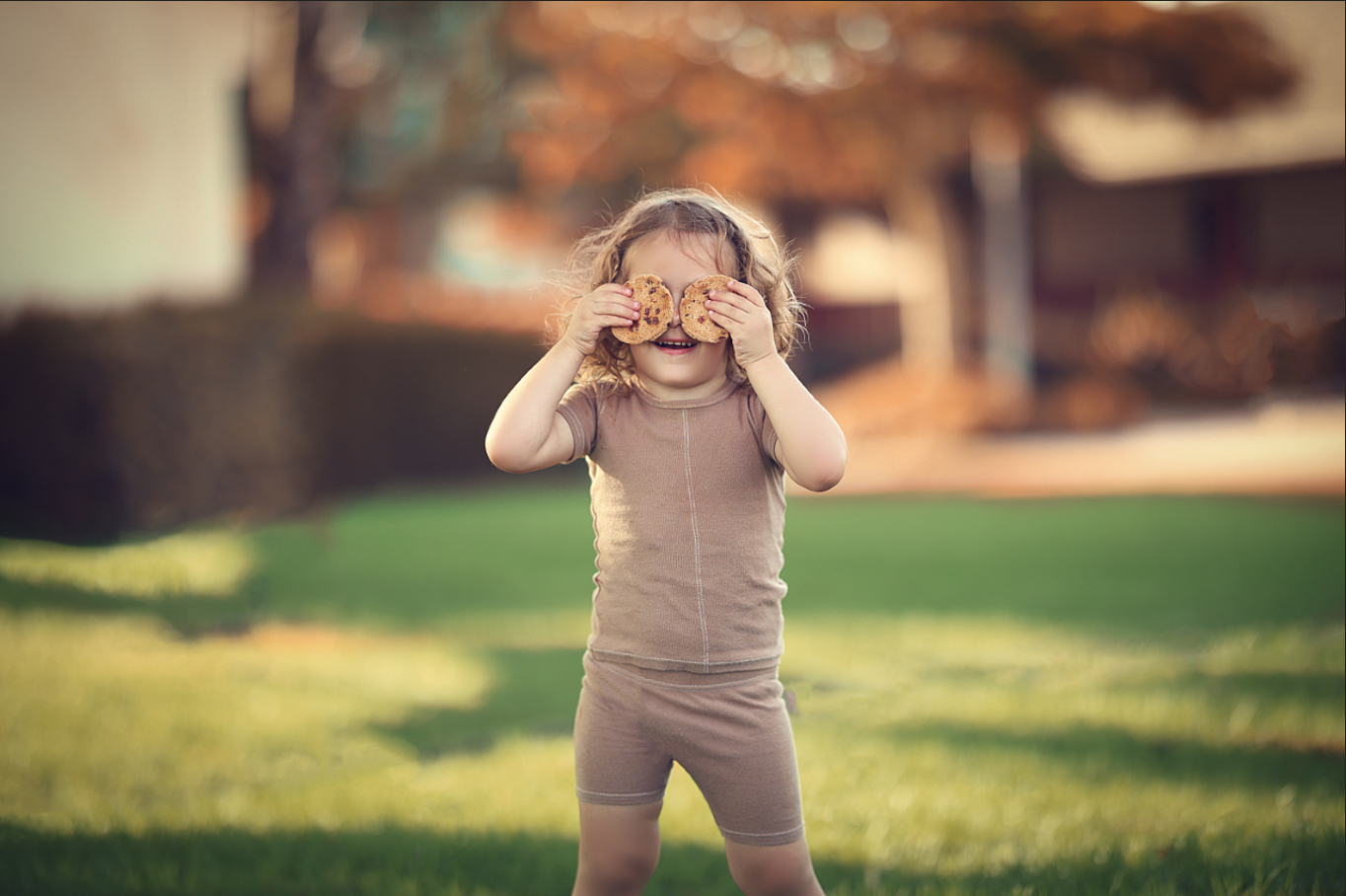 צילום מסך 2025-02-18 195645.png