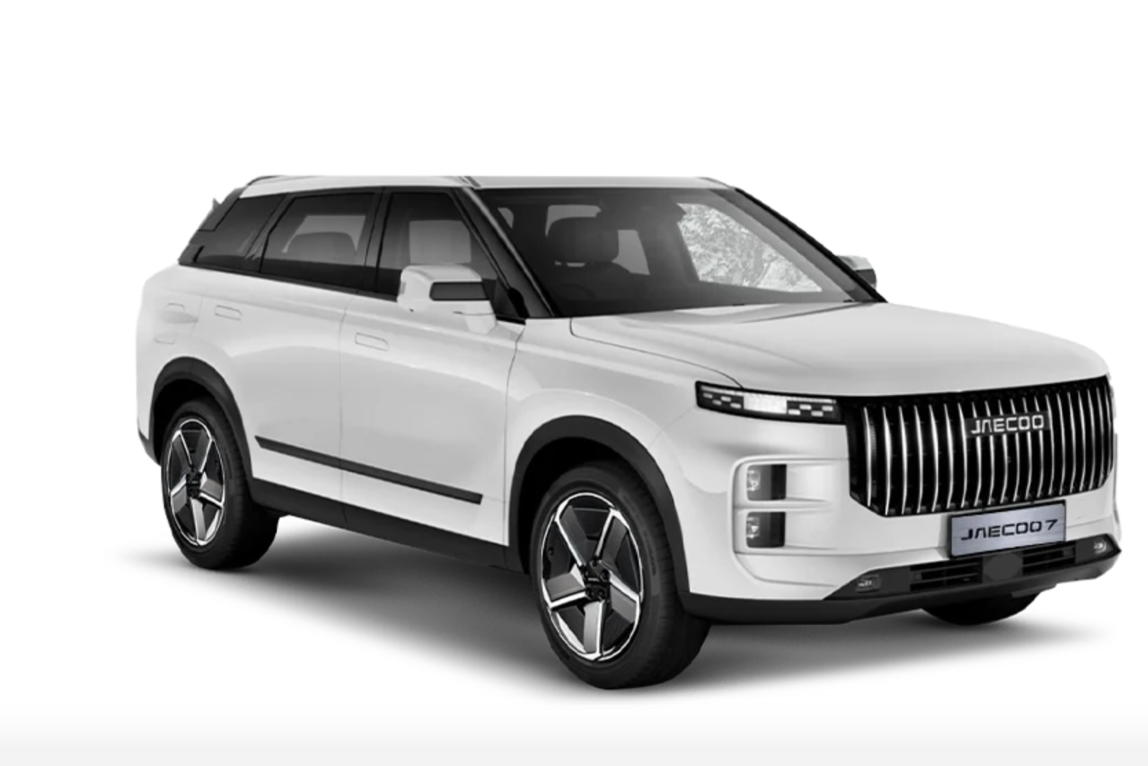 צילום מסך 2025-02-19 150255.png