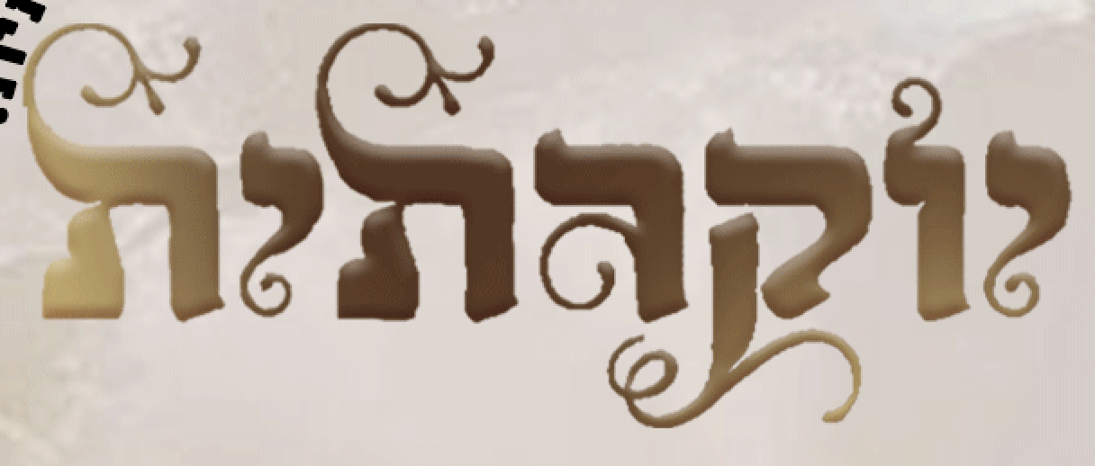 צילום מסך 2025-02-26 ב-10.47.30.png