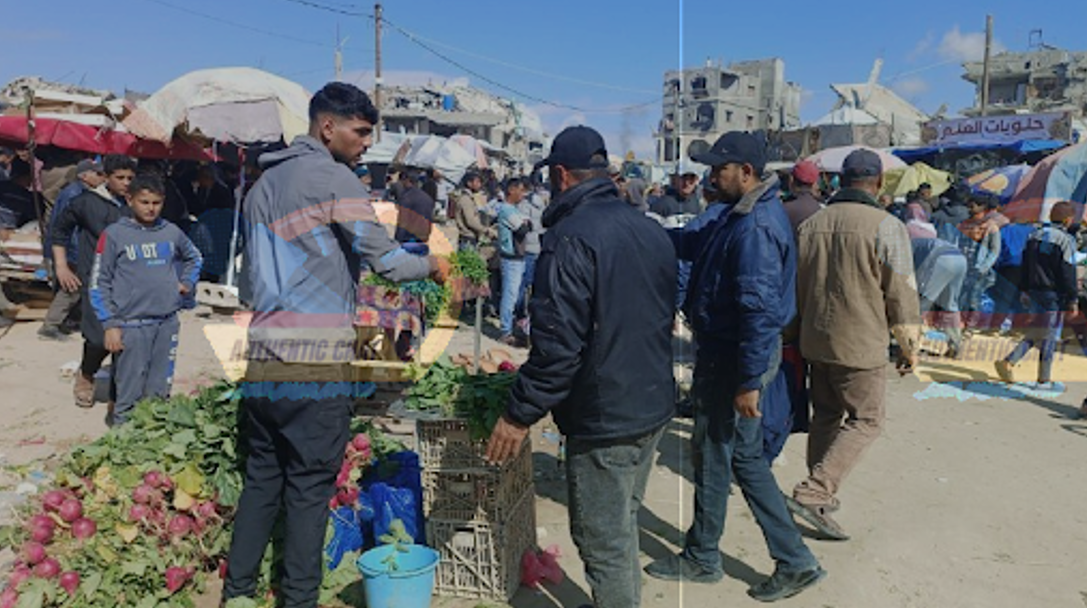 צילום מסך 2025-03-02 120809.png