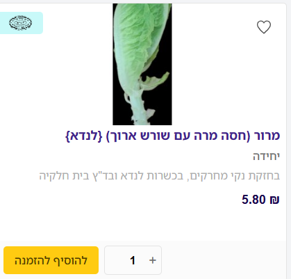 צילום מסך 2025-03-31 162152.png
