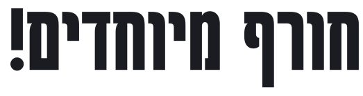 צילום מסך 2025-04-01 130946.png