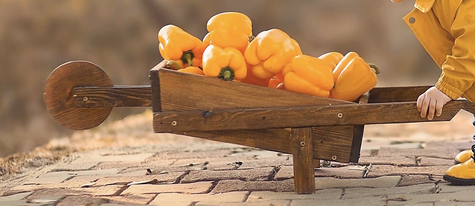 צילום מסך 2025-04-08 ב-9.15.17.png