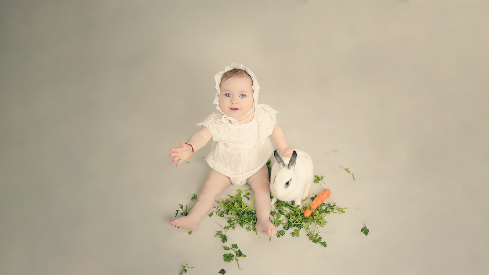 צילום מסך 2025-04-22 203542.png