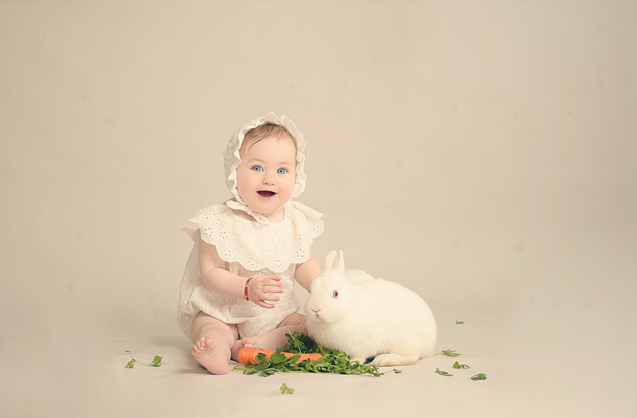 צילום מסך 2025-04-22 203602.png