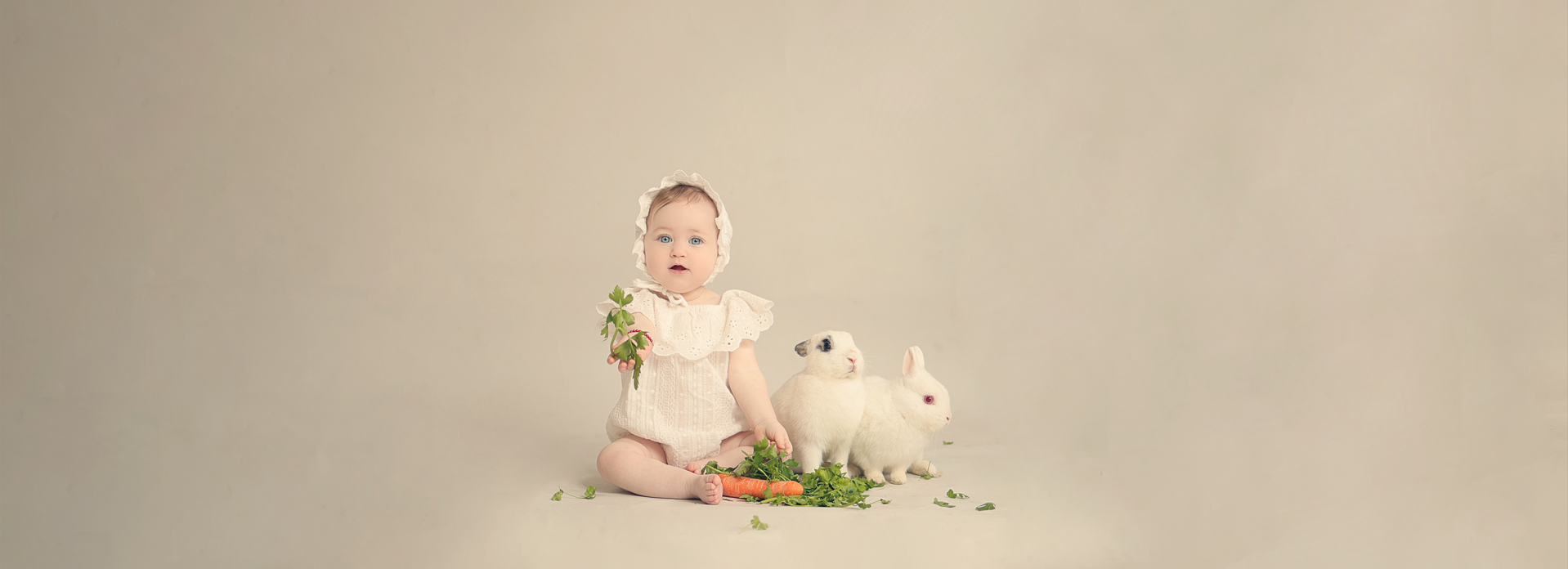 צילום מסך 2025-04-22 203905.png