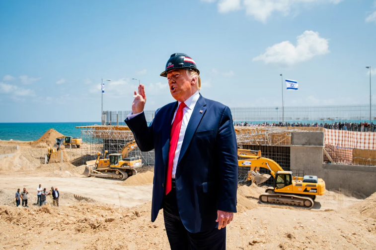 צילום מסך 2025-04-24 215757.png