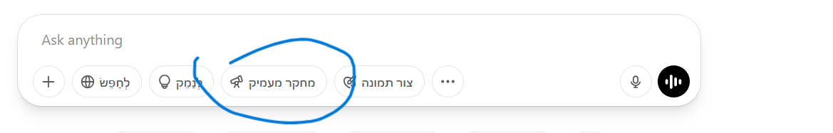 צילום מסך 2025-04-26 201145.png