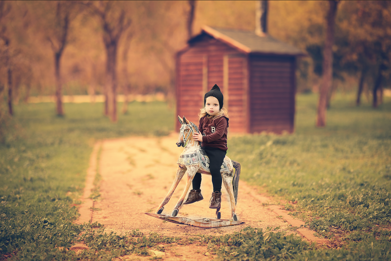 צילום מסך 2025-04-30 081236.png