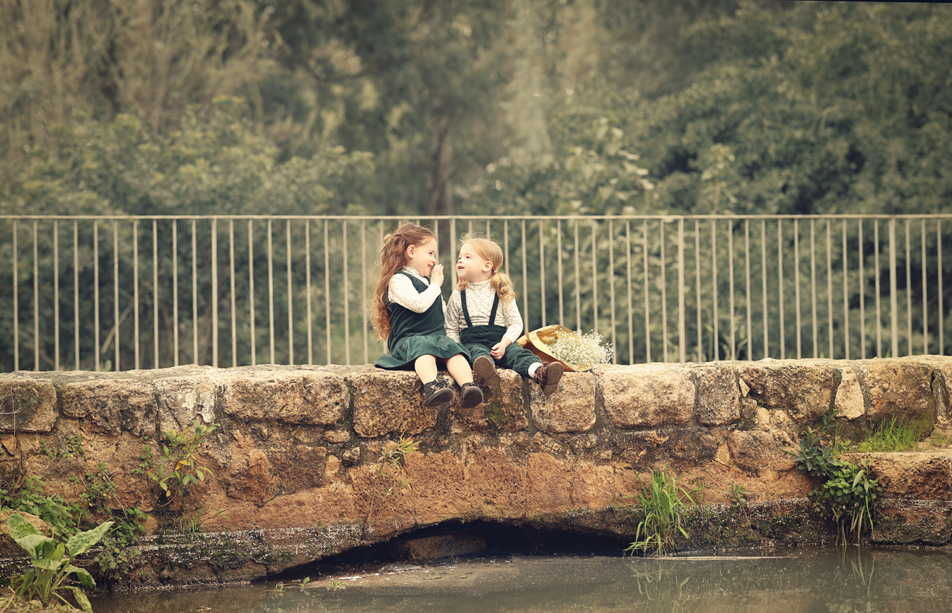 צילום מסך 2025-04-30 081356.png