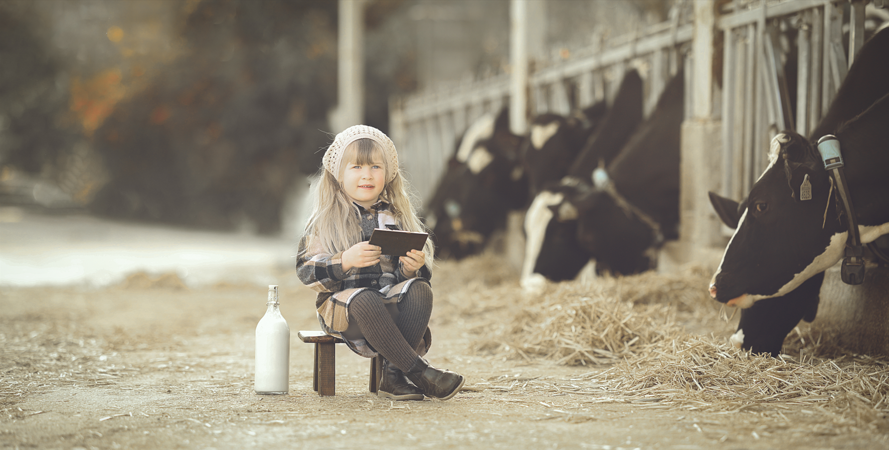 צילום מסך 2025-05-14 092147.png