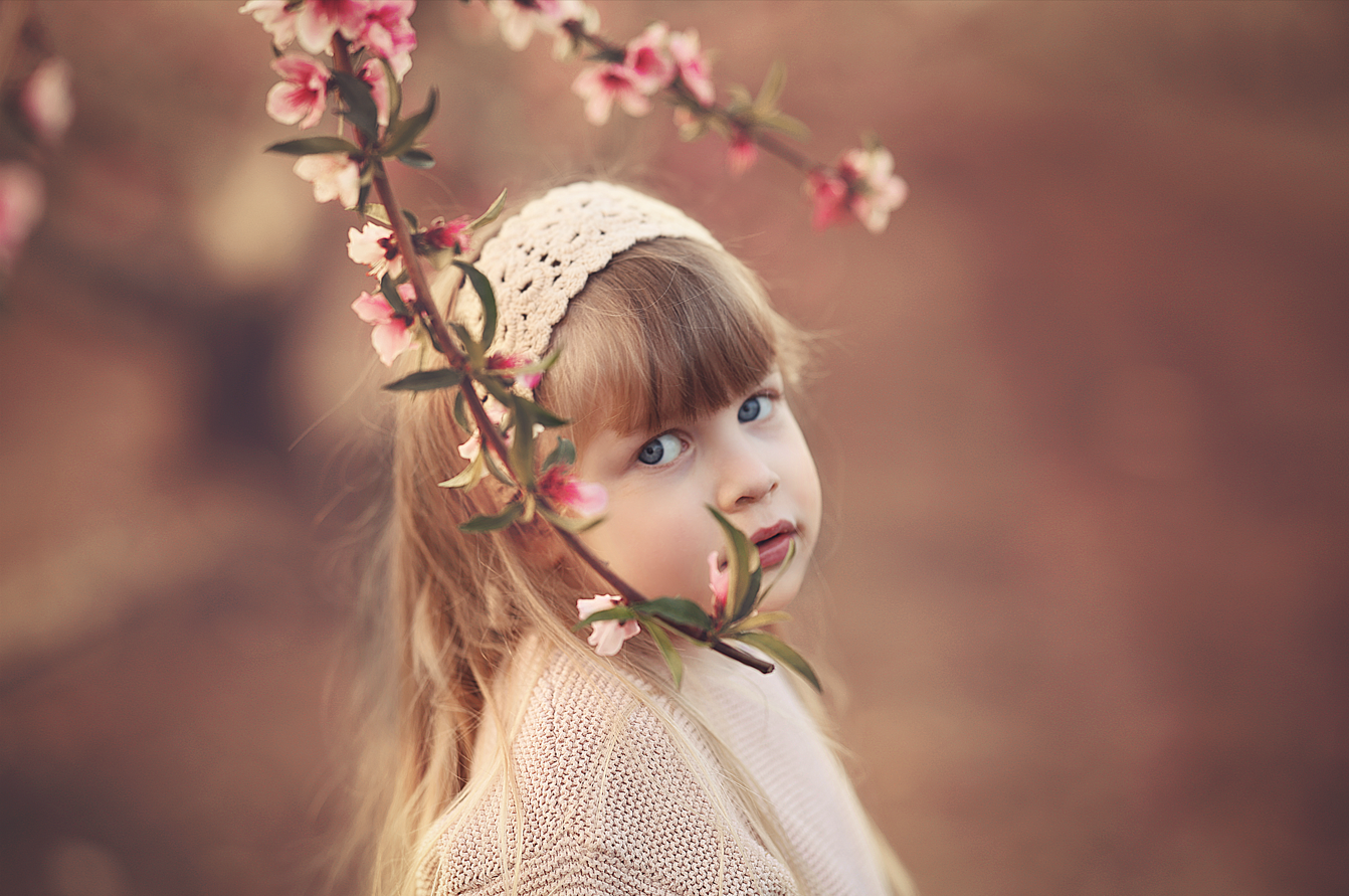 צילום מסך 2025-05-14 092215.png