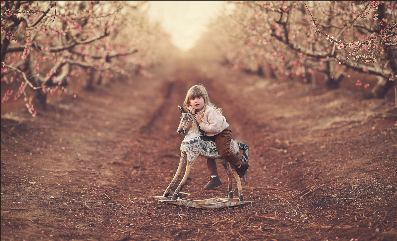 צילום מסך 2025-05-14 092238.png