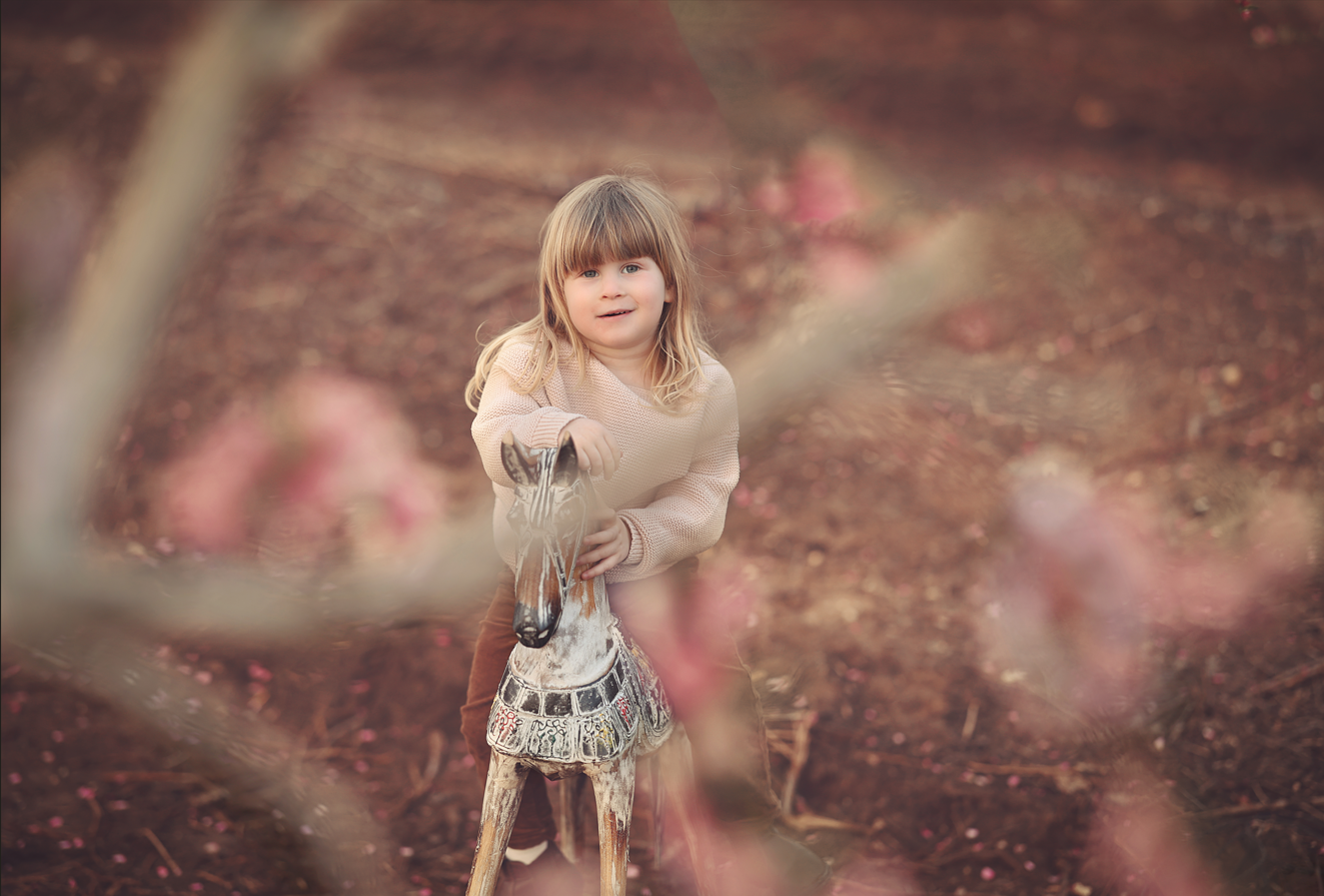 צילום מסך 2025-05-14 092258.png