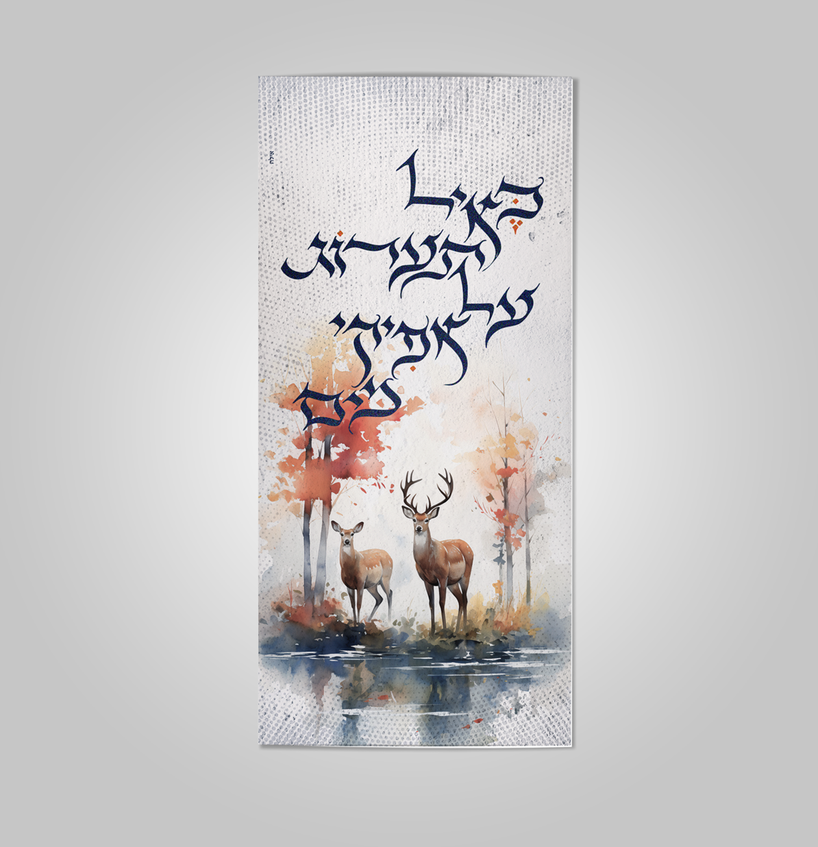 צילום מסך 2025-05-18 050257.png