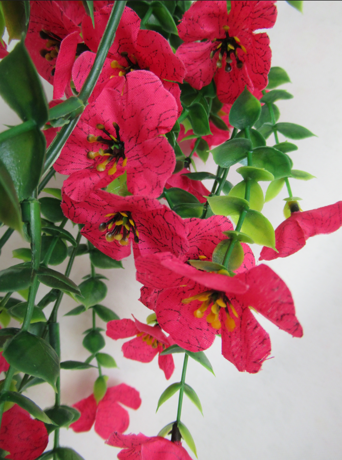 צילום מסך 2025-05-20 152401.png