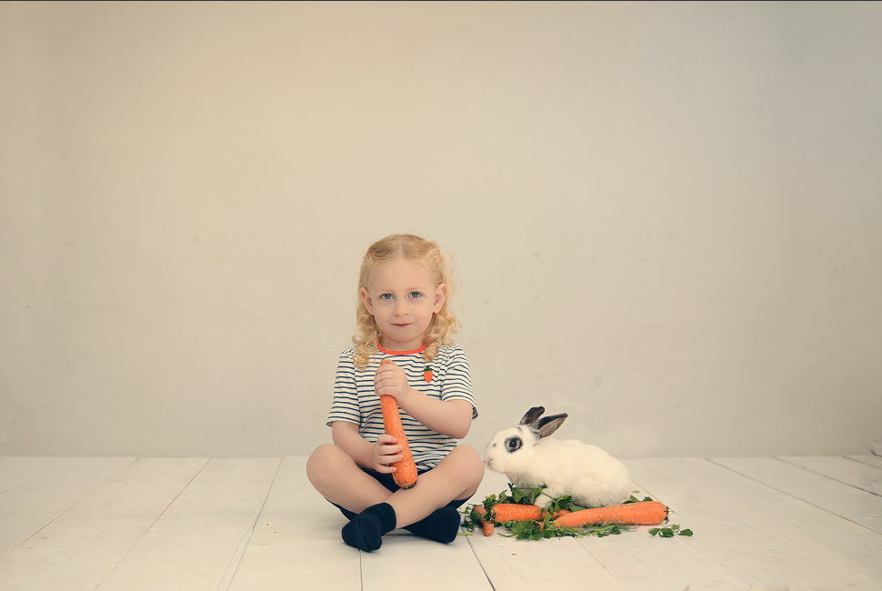 צילום מסך 2025-05-29 224728.png