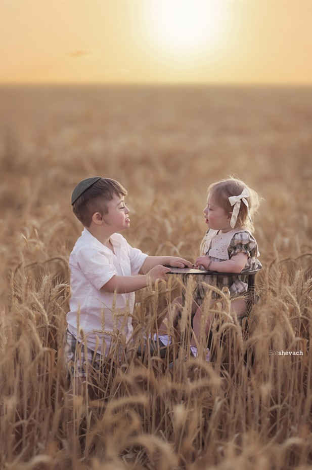 צילום מסך 2025-05-30 022648.jpg