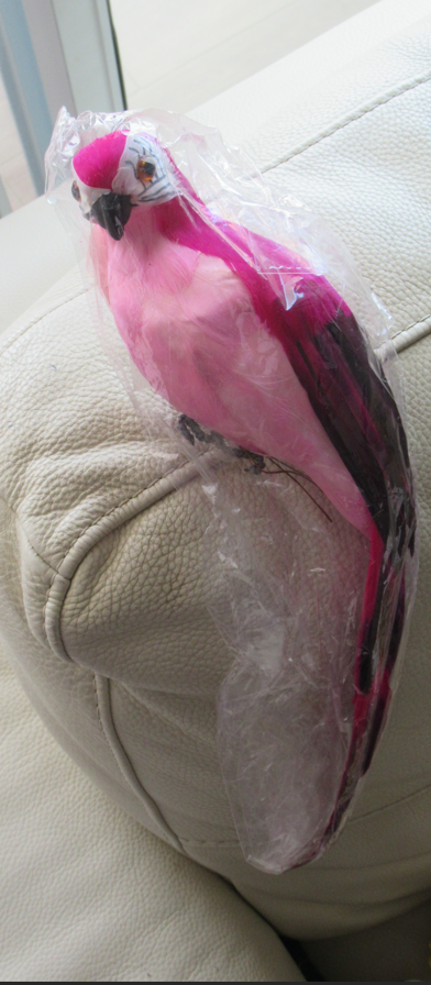 צילום מסך 2025-06-05 213852.png